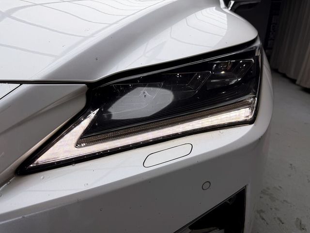 LEXUS凌志 RX350L  第7張相片