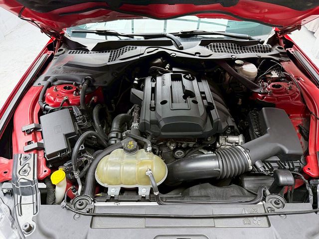 FORD福特 MUSTANG  第14張相片