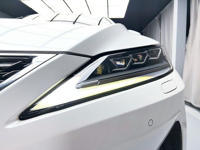 LEXUS凌志 RX300  第7張相片