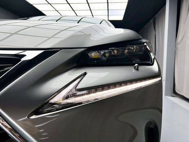 LEXUS凌志 NX300H  第7張相片