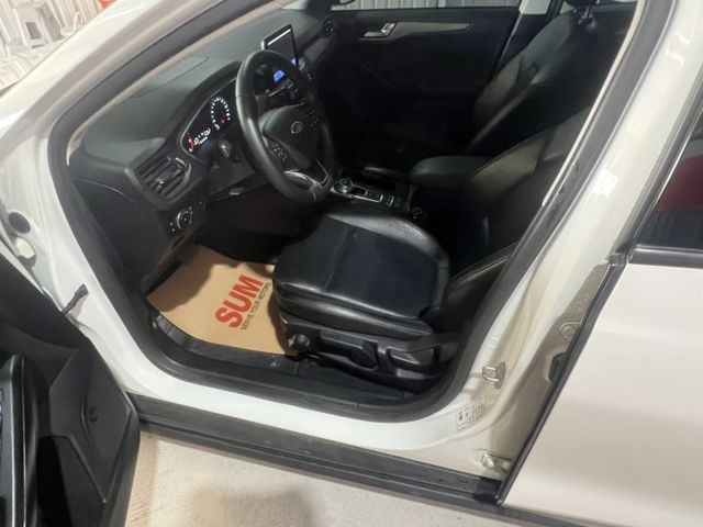 FOCUS 4D  第4張相片