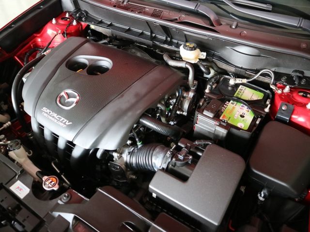 里程履約保證僅跑7萬 旗艦版ACC LED日行燈/頭燈/尾燈 CARPLAY 胎壓 前後行車紀錄器 導航 倒車顯影 盲點  第20張相片