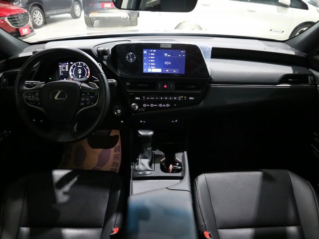 里程履約保證僅跑2萬 豪華版原廠保固 LED日行燈/頭燈/尾燈 CARPLAY ACC 盲點 車道偏離 雙電動/通風椅  第10張相片