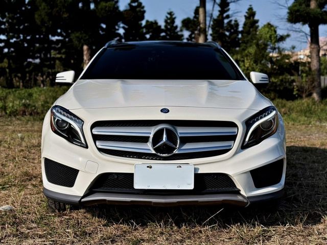 Mercedes-Benz/賓士 GLA250  第5張相片