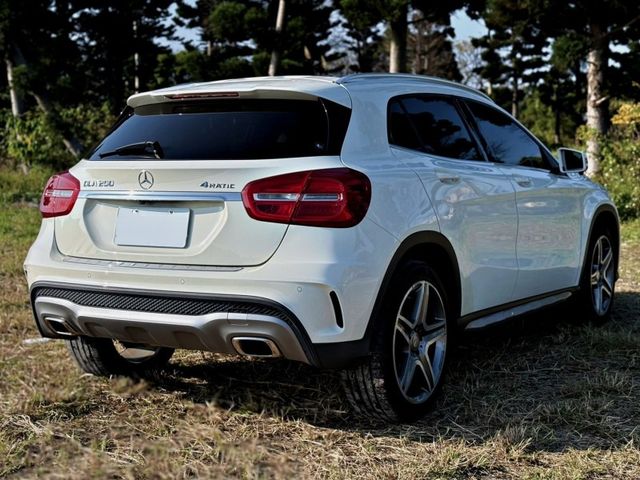 Mercedes-Benz/賓士 GLA250  第7張相片