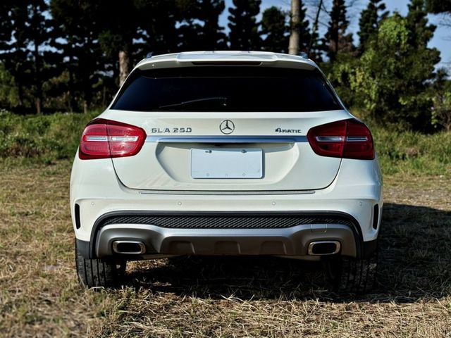 Mercedes-Benz/賓士 GLA250  第8張相片
