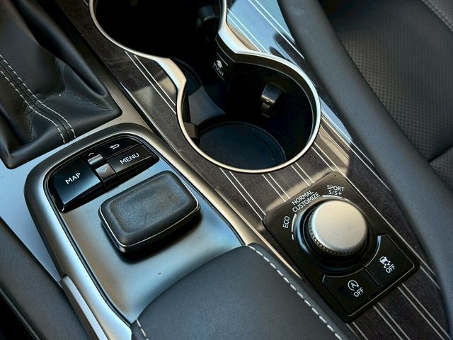 LEXUS凌志 RX300  第15張相片