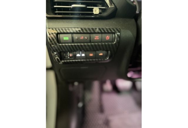 「氣氛燈・鋁圈・避震器・CarPlay」預約賞車／諮詢  0989-722-408 蘇先生  第14張相片