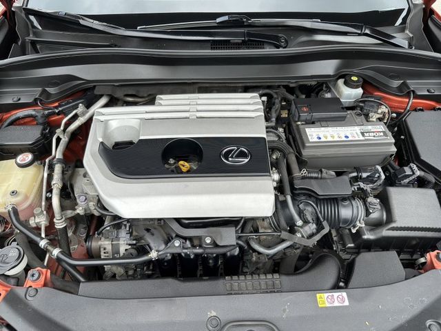 19年式LEXUS UX200 正F-SPORT 紅內裝 女用車  第20張相片