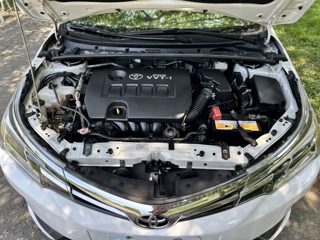 ALTIS  第12張相片