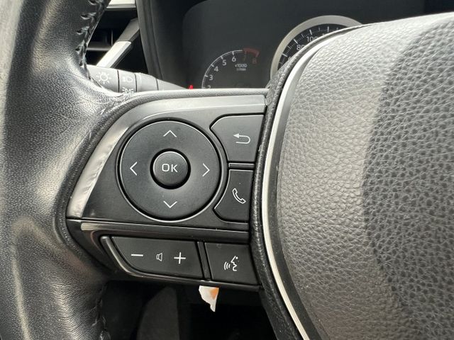 AURIS  第17張相片