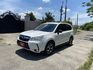 FORESTER  第1張縮圖