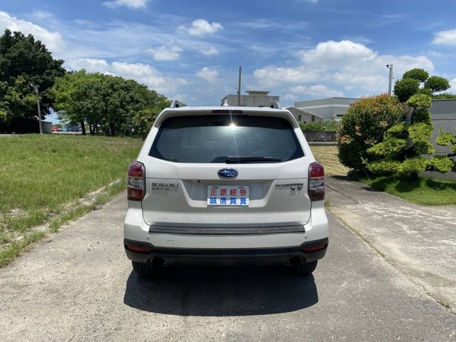 FORESTER  第5張相片