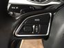雙電熱椅 A4 Avant  第11張縮圖