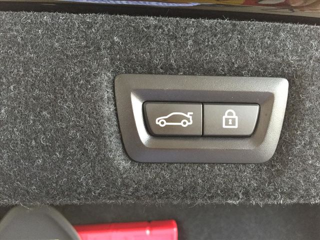 總代理 520i Luxury Lin  第10張相片