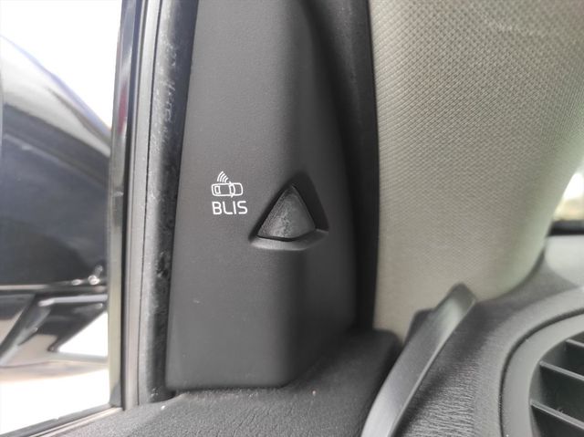 ACC自動跟車 全景天窗 導航 自動停車  第16張相片