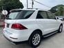 GLE250D 柴油 摸門 環景 電尾門   第3張縮圖