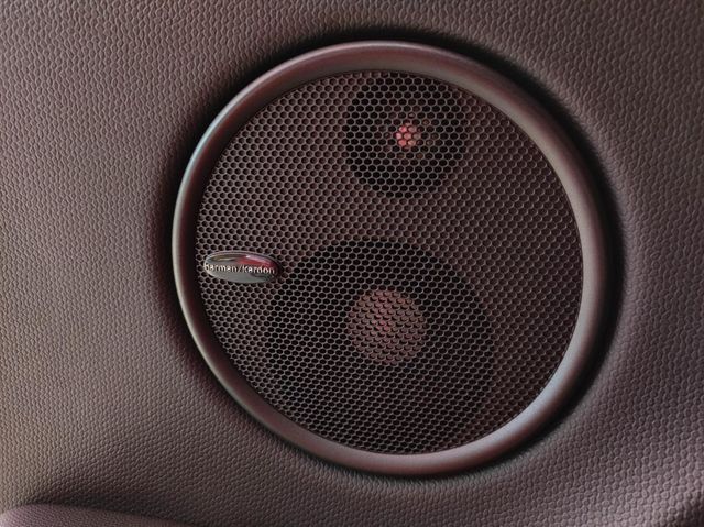 JCW 版本  第8張相片