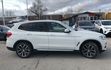 【佳德汽車】BMW X3 30IX  第3張縮圖