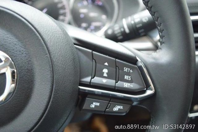 2020年1月領牌 跑三萬三  第2張相片