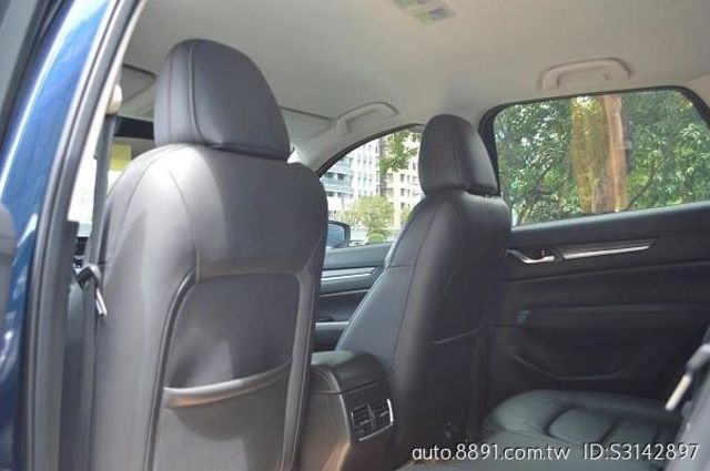 2020年1月領牌 跑三萬三  第5張相片