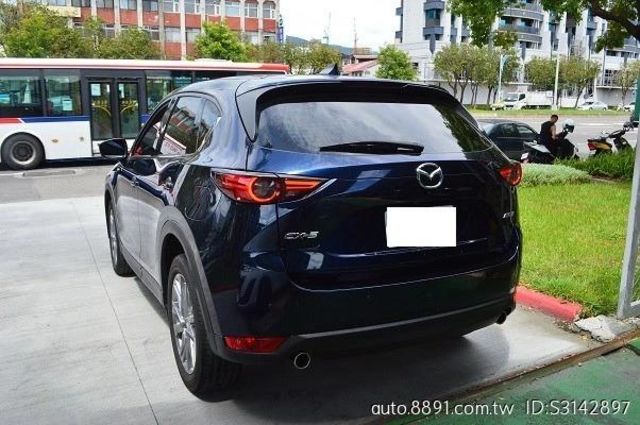 2020年1月領牌 跑三萬三  第7張相片