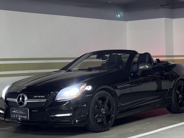 Mercedes-Benz/賓士   SLK-CLASS  SLK250  第1張相片