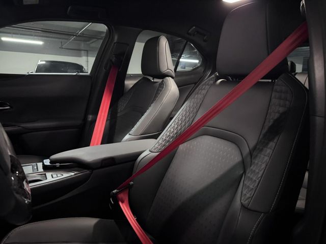 Lexus  UX250h  第2張相片