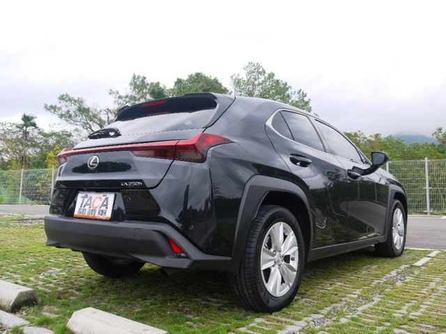 Lexus  UX250h  第6張相片