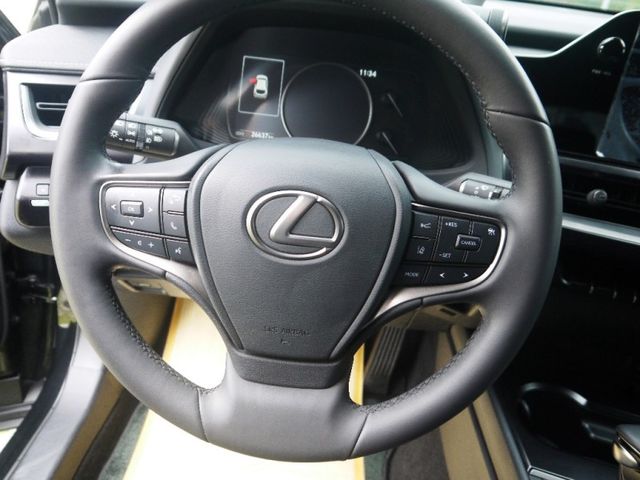 Lexus  UX250h  第19張相片