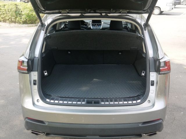 Lexus  NX  第8張相片
