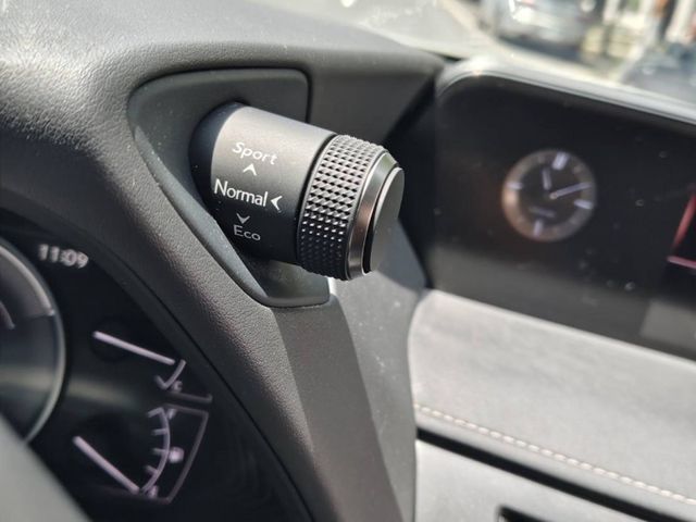 Lexus  UX250h  第17張相片