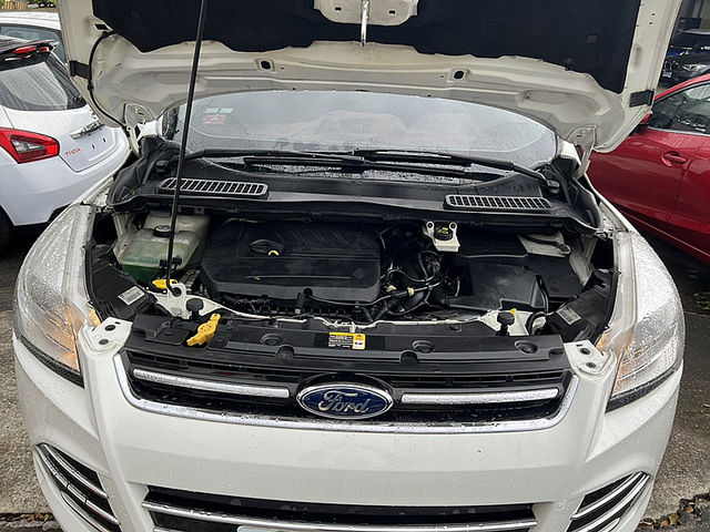 Ford/福特 Kuga  第6張相片