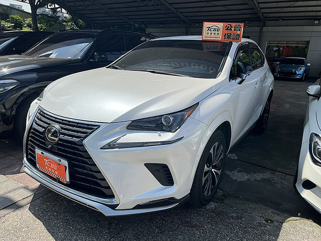 Lexus NX  第1張相片