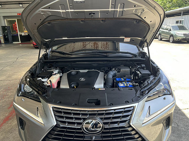 Lexus NX  第6張相片