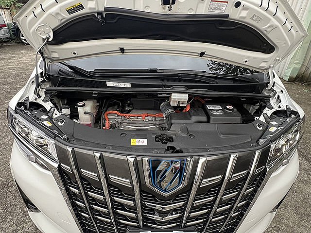 Toyota ALPHARD  第6張相片