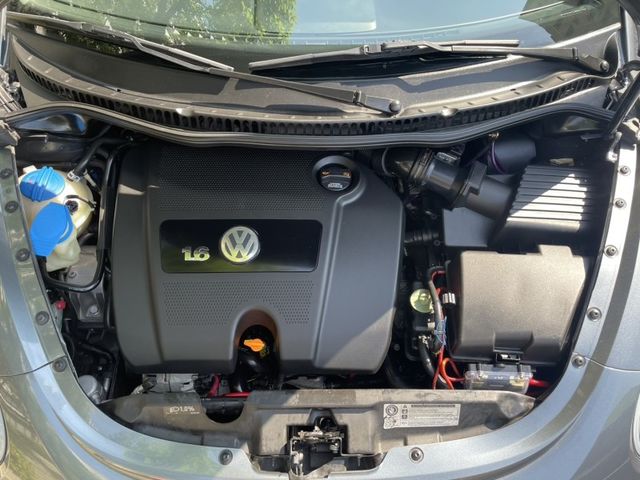 Volkswagen 福斯  Beetle  第19張相片