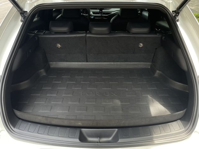 Lexus  UX250h 實價刊登★20年式UX250豪華款 免鑰摸門 跟車 盲點 電尾門 CarPl  第18張相片