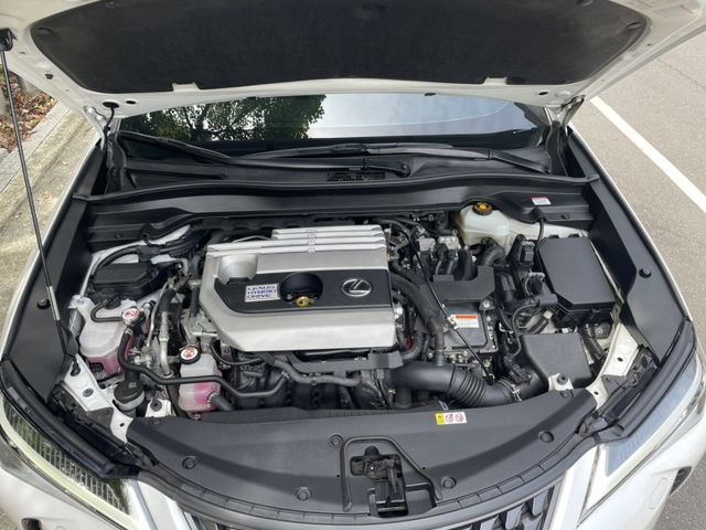 Lexus  UX250h 實價刊登★20年式UX250豪華款 免鑰摸門 跟車 盲點 電尾門 CarPl  第24張相片