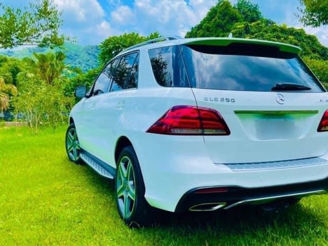 Mercedes-Benz/賓士 GLE350  第10張相片