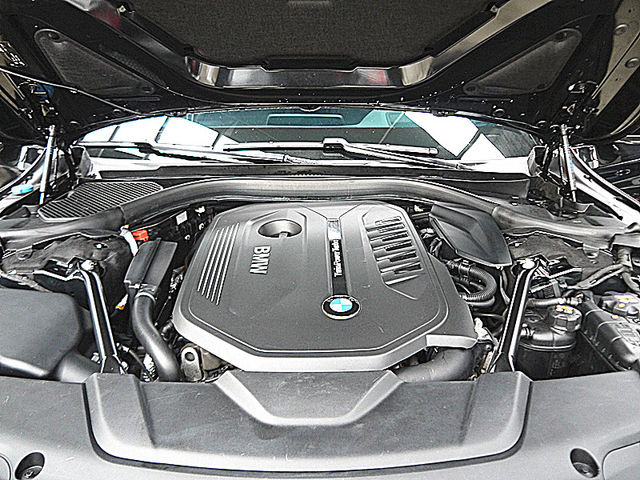 BMW/ 寶馬 740Li  第11張相片