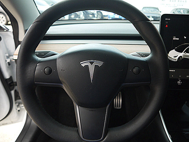 Tesla/特斯拉 Model 3  第16張相片