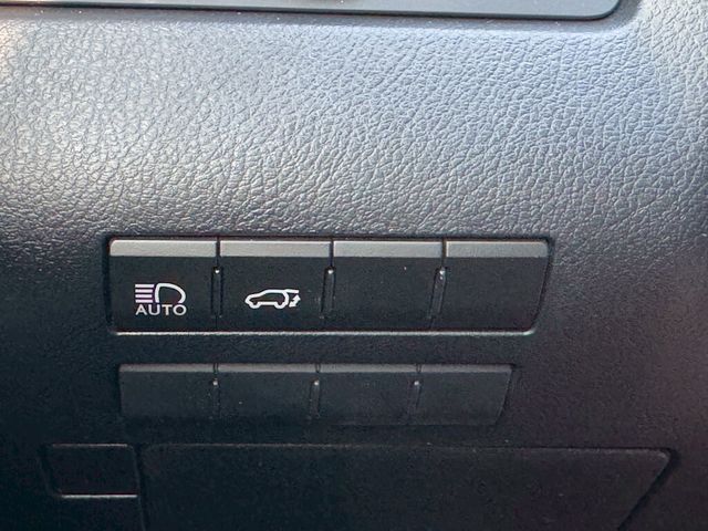 LEXUS凌志 RX300  第10張相片