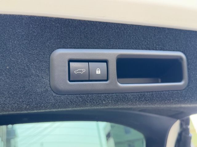 LEXUS凌志 RX300  第11張相片