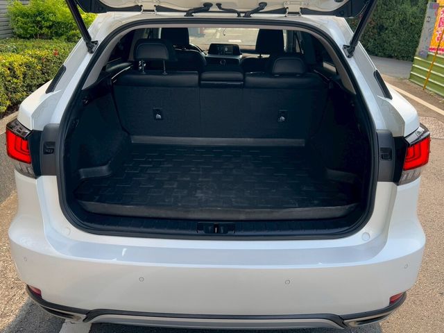 LEXUS凌志 RX300  第19張相片
