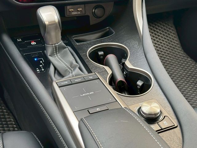 LEXUS凌志 RX300  第7張相片
