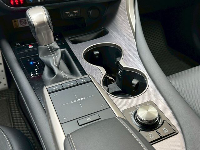 LEXUS凌志 RX300  第6張相片