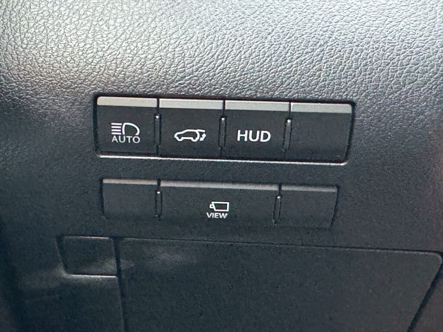 LEXUS凌志 RX300  第10張相片