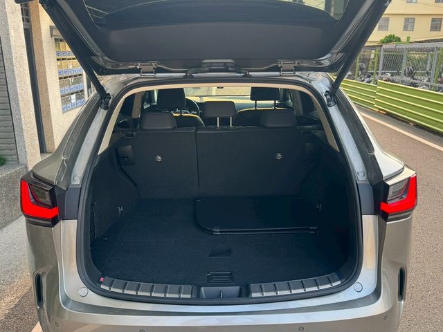 LEXUS凌志 NX250  第13張相片