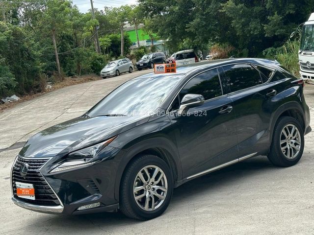 Lexus NX  第1張相片